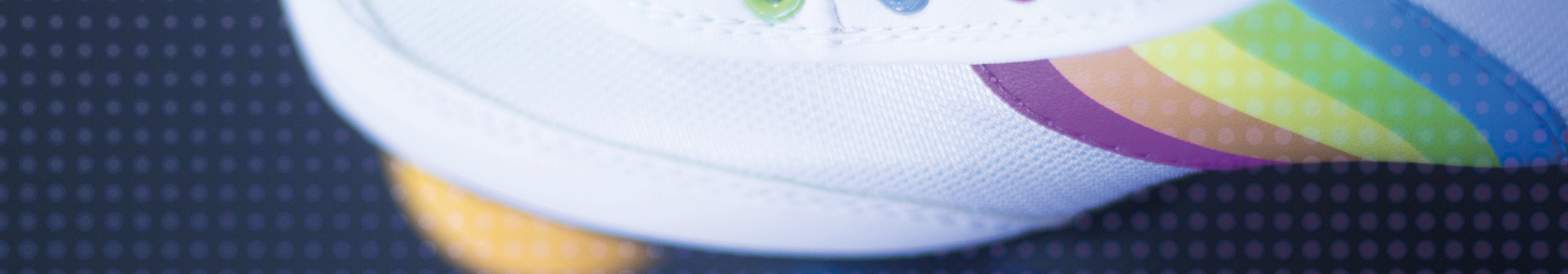 Website Header Roller Disco (1)